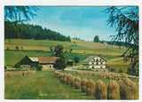 AK St. Jakob im Walde. Gasthof Pension Leitner. Narnhofer.
