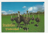 AK Auffen 51. Straußenfarm Lindenhof. Familie Weber.