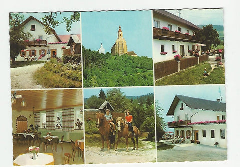AK Pöllau. Pension Waldhof - Mur. Pöllauberg, Zeil 46.