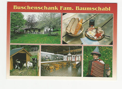 AK Kaindorf. Buschenschank Baumschabl. Vockenberg 14.