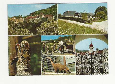 AK Tierpark Herberstein am Stubenbergsee.