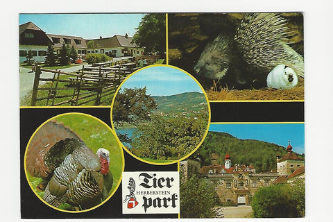 AK Tierpark Herberstein und seine Umgebung am Stubenbergsee. (1984)