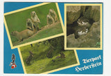 AK Tierpark Herberstein. (1984)