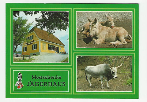 AK Mostschenke Jägerhaus im Tierpark Herberstein. (1984)