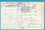 AK Hallerhaus vom Lichtenegg gesehen.