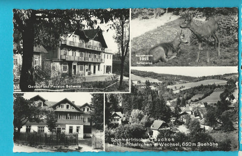 AK Tauchen bei Mönichkirchen am Wechsel. Gasthof und Pension Schwarz.