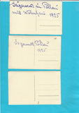 3 Fotos "Sägewerk in Pöllau mit Wohnhaus" (1925)