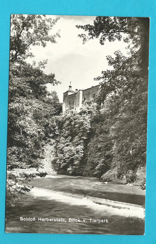 AK Schloß Herberstein. Blick vom Tierpark.