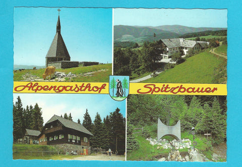 AK Mönichwald. Alpengasthof Spitzbauer. Inh. Fam. Gaugl.