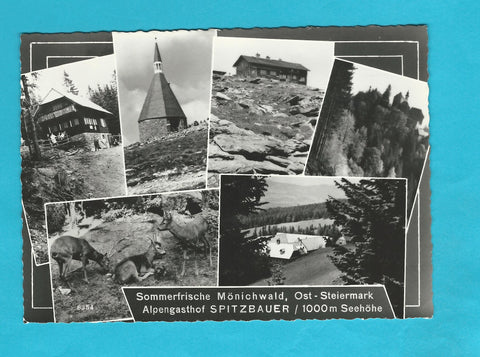 AK Mönichwald. Alpengasthof Spitzbauer.