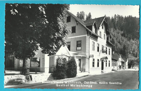 AK Waldbach. Gasthof Matschninegg.