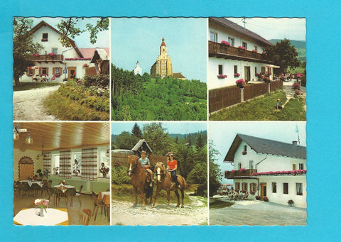 AK Pöllau. Pension Waldhof - Muhr. Pöllauberg, Zeil 46.