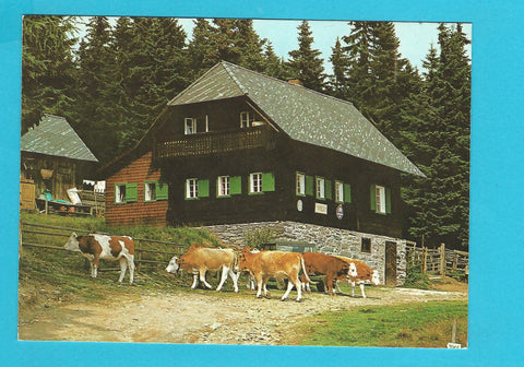 AK Mönichwald. Kaltwiesenhütte. Jausenstation Spitzbauer.