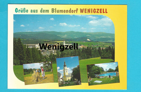AK Grüße aus dem Blumendorf Wenigzell.