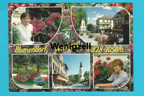 AK Blumendorf Wenigzell.