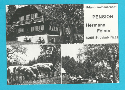 AK St. Jakob im Walde. Pension Hermann Feiner.