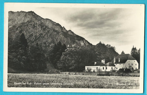 AK Urstein bei Puch - Hallein gegen Untersberg.