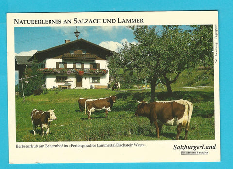 AK Herbsturlaub am Bauernhof im Ferienparadies Lammertal Dachstein-West.