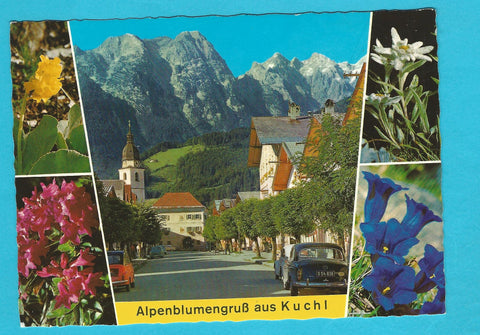 AK Alpenblumengruß aus Kuchl.