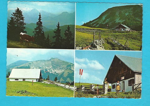 AK Jausenstation Christl-Alm. Hintertrattberg. St. Koloman.
