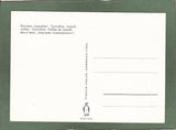 AK Lesachtal. (Maria Rehm, Österreichs Trachtenbüchlein“)