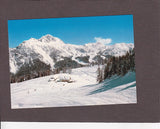 AK Treßdorfer Alm gegen Gartnerkofel. Hermagor-Naßfeld.