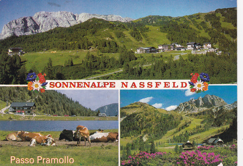 AK Sonnenalpe Nassfeld. Passo Pramollo.