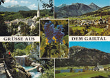 AK Grüsse aus dem Gailtal.