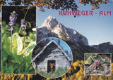 AK Küweger Alm. Karnische Region. Gartnerkofel.