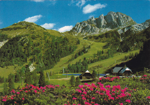 AK Hermagor, Sonnenalpe Naßfeld 99. Alpenhof Plattner - Familie Plattner.