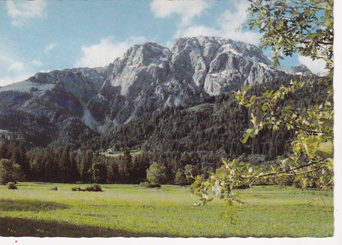AK Reisach. Reisskofel mit Berghof Rinsenegg. Gailtaler Alpen