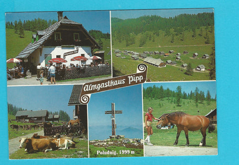 AK Almgasthaus Pipp Dellacher Alm. Egg.
