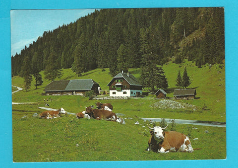 AK Jausenstation Hermagorer Bodenalm.