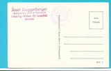 AK Karnische Alpen. Hochweißsteinhaus.