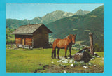 AK Steineggeralm. Liesing. Lesachtal.