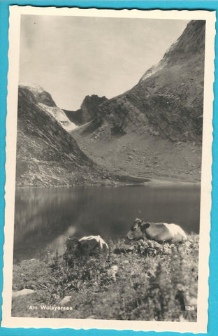 AK Am Wolayer-See.