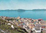 AK Hammerfest.