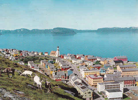 AK Hammerfest.