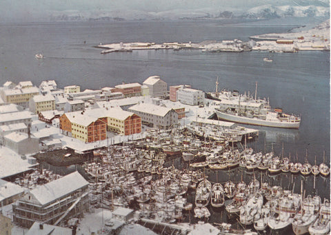 AK Hammerfest. parti fra byen og havn...