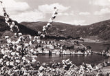 AK Norheimsu d. Hardanger.
