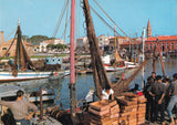 AK Caorle - Porticciolo.