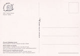 AK Lido di Venezia. Pizzeria Palladium. Hotel Nember / Garden. Hotel Svezia & Scandinavia.