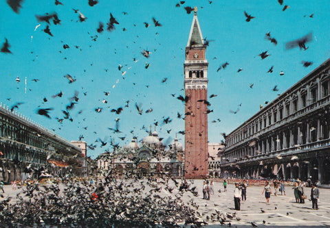AK Venezia. Piazza San Marco. Piccionata.