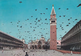 AK Venezia. Piazza S. Marco - Volo di colombi.