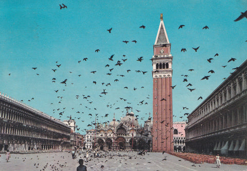 AK Venezia. Piazza S. Marco - Volo di colombi.