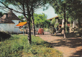 AK Rosapineta. Villaggio Turistico Pizzeria. Rosolina.
