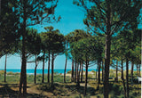 AK Eraclea Mare.
