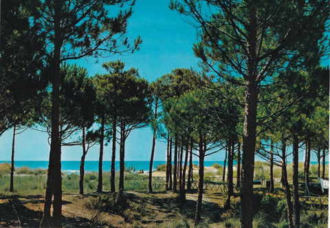 AK Eraclea Mare.