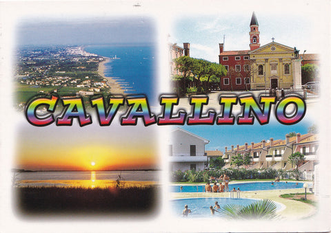 AK Cavallino.
