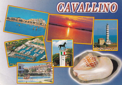 AK Cavallino.